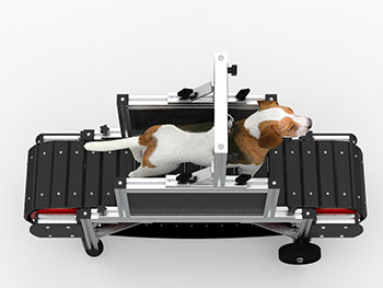 Classic Canine Trainer