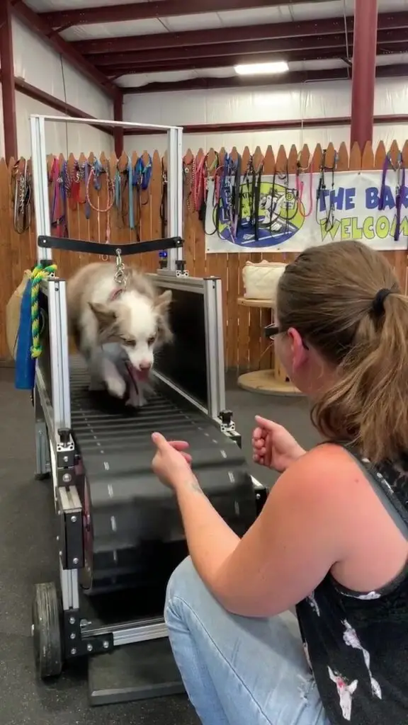 70182769 10221033351920931 3237567315755139072 n