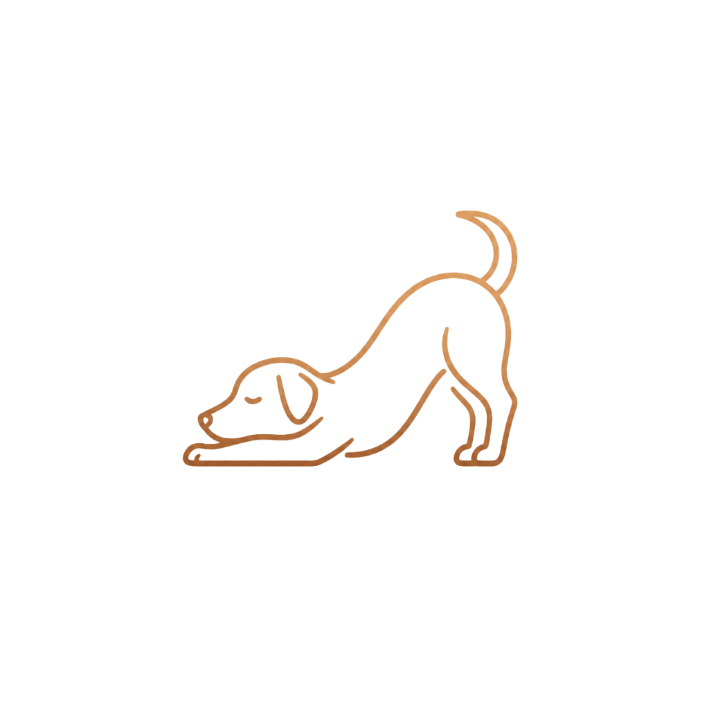 dog cooldown for dog treadmills