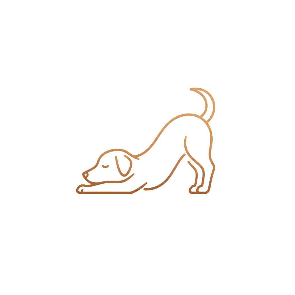 dog cooldown for dog treadmills