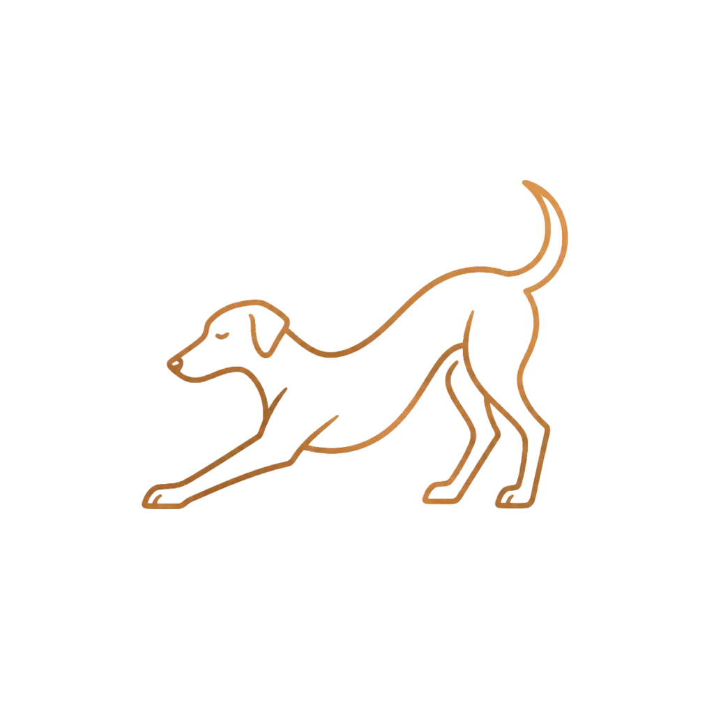 dog warmup for dog treadmills